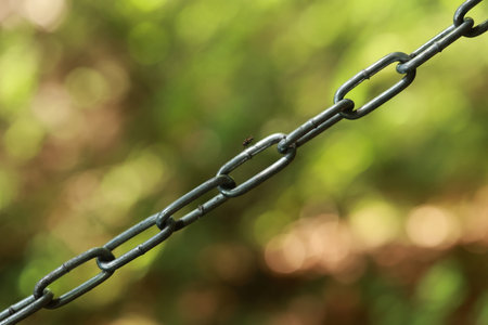 Chain link fence with a bug on it