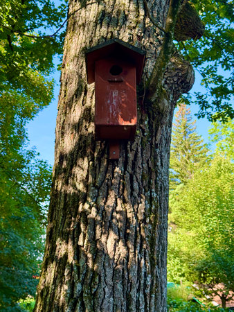 A Charming Birdhouse Decoratively Placed on a Tree Trunk Surrounded by Lush Greenery