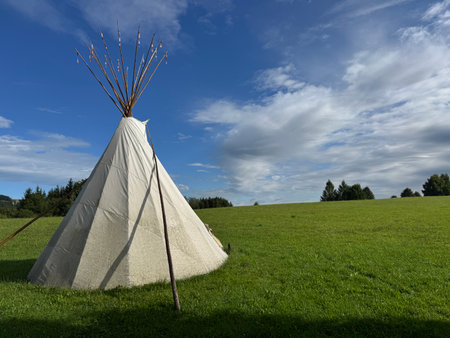 A beautiful traditional Tipi gracefully resting on a lush green field beneath a clear blue sky