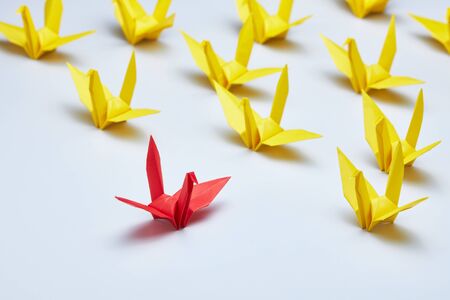 Group of origami Crane background, shallow depth of fieldの写真素材