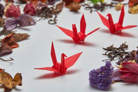 Origami crane and dry flowers, shallow depth of fieldの写真素材