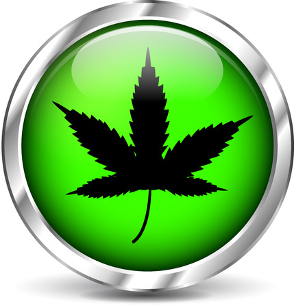 Vector illustration of cannabis green icon on white backgroundのイラスト素材