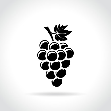 Illustration of grapes icon on white backgroundのイラスト素材