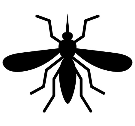 Illustration of black mosquito on white backgroundのイラスト素材