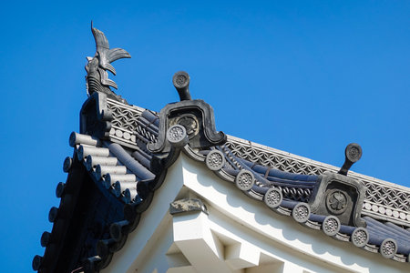Kyoto Nijo Castle (former Rikyu Nijo Castle) Higashi-Otemon (main gate)のeditorial素材