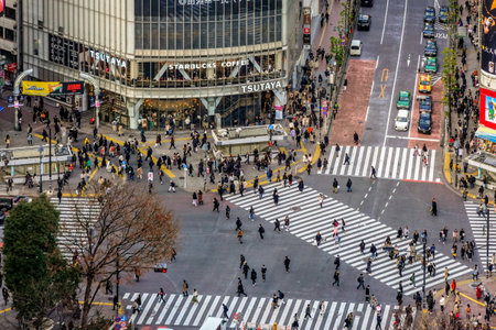 Looking down at Shibuya Scramble Crossingのeditorial素材