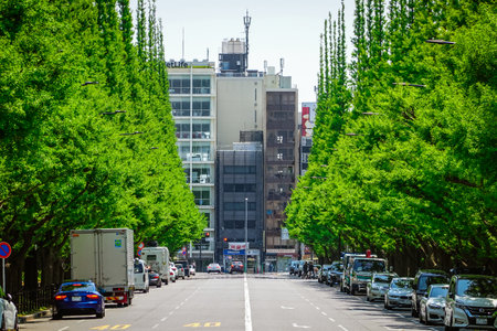 On a sunny day in April 2020, we strolled along the ginkgo trees of Jingu Gaien from Aoyama Street...