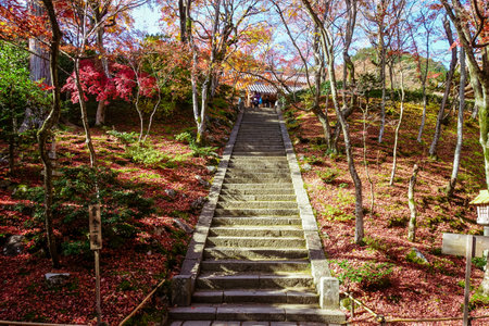 Jojakkoji Temple, Kyoto,  with autumn leaves (Niomon Gate) (stone steps from Niomon gate to the main hall)のeditorial素材
