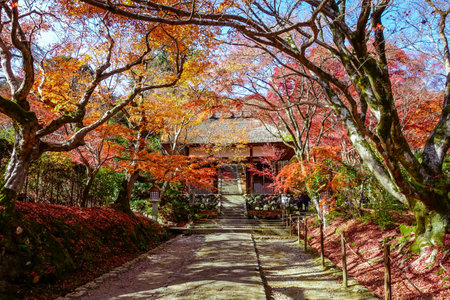 Jojakkoji Temple, Kyoto,  with autumn leaves   (Niomon Gate)のeditorial素材