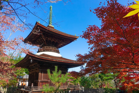 Jojakko-ji Temple Pagoda