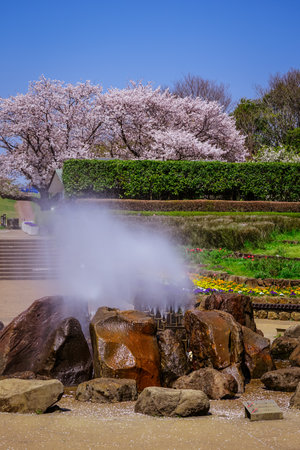Spring Park "Kanagawa Prefectural Four Seasons Forest Park" Shobuen Tree Pathのeditorial素材