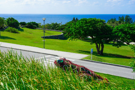 Okinawa's blue sky and blue sea, Ocean Expo Parkのeditorial素材