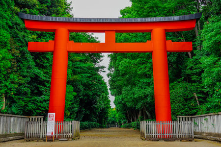 The approach to Igusa Hachimangu Shrine where trees grow thickのeditorial素材