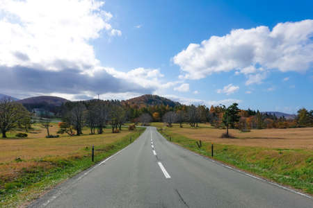 Hakkoda Gold Line And Kayano Kogen along National Route 103 (Kayano Chaya)の写真素材