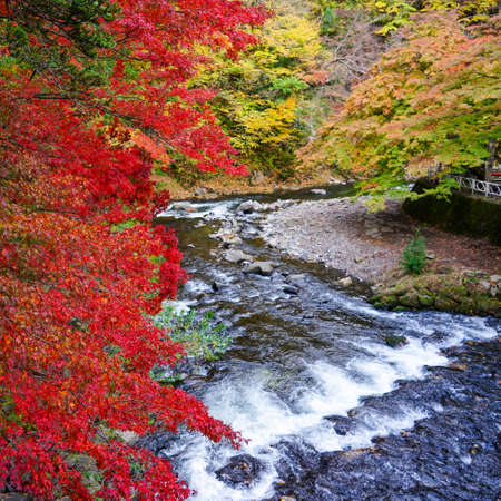 Nakano-Mokajiyama Park Fudo falls (Kuroishi City, Aomori Prefecture)の写真素材