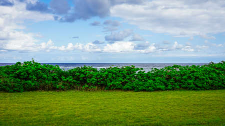 Okinawa The northernmost seaside of Ikei Island (Uruma City, Okinawa Prefecture)の写真素材