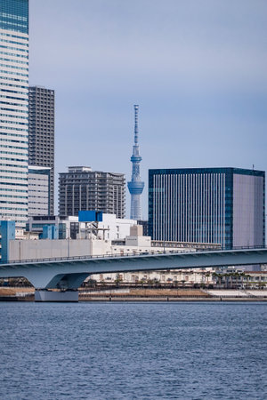 Cityscape from Toyosu Gururi Park in the direction of Toyosu Ohashi Bridge (Chuo-ku and Koto-ku, Tokyo)のeditorial素材