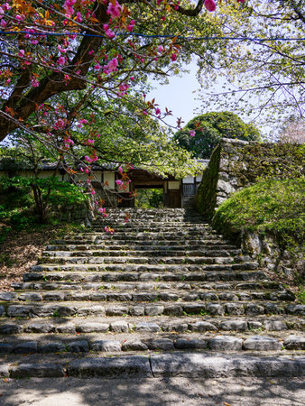 Akizuki Castle Nagayamon Gate in Akizuki Castle Town, which is said to be the small Kyoto of Chikuzen (Asakura City, Fukuoka Prefecture)のeditorial素材