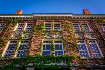Seinan Gakuin University Museum with ivy entangled in red brick (Fukuoka City, Fukuoka Prefecture)のeditorial素材