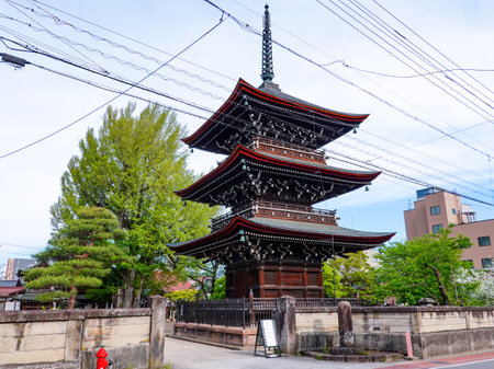 The Great Ginkgo Biloba of Hida Kokubunji Temple, which is over 1200 years old (Takayama City, Gifu Prefecture)のeditorial素材