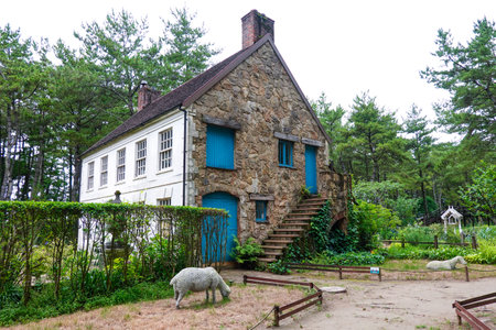 English-style Garden International Seaside Entrance Plaza (Miyazaki, Miyazaki)のeditorial素材