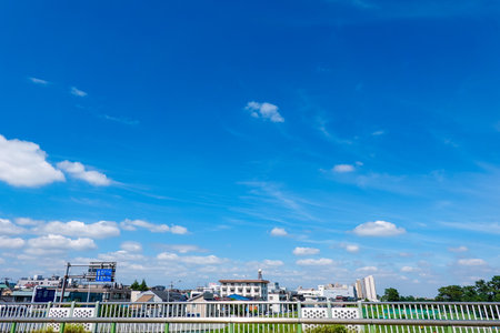 Tama River bank in autumn Blue sky and white cloudsの写真素材