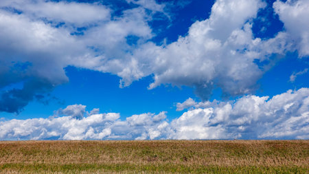 Tama River bank in winter Blue sky and white cloudsの写真素材