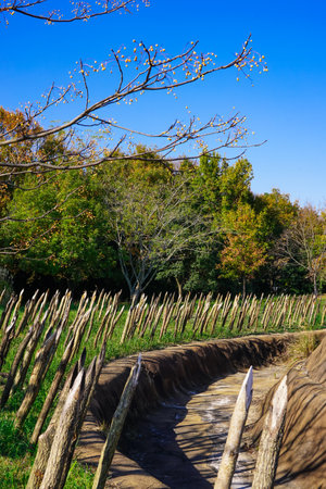 Fence and reverse motegi for village defense (Yoshinogari Historical Park, Saga Prefecture)の写真素材