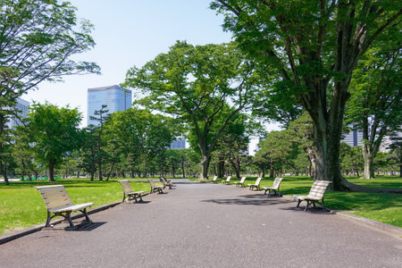 Promenade and benches in the lawn plaza (Imperial Palace Outer Garden)の写真素材