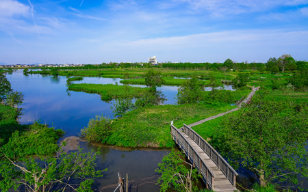 Waterside of Fukushima Lagoon on a clear spring morning (Niigata City, Niigata Prefecture)の写真素材