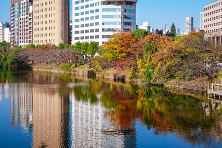 Autumn leaves in the outer moat of Edo Castle (Ichigaya, Chiyoda-ku, Tokyo)の写真素材