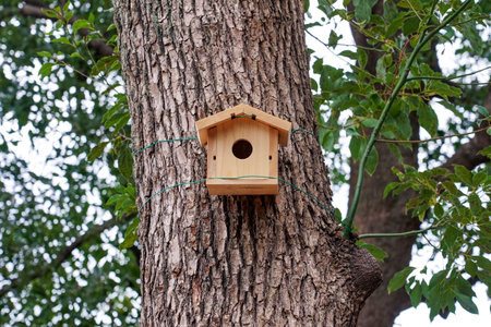 Birdhouse (Chofu City, Tokyo)
