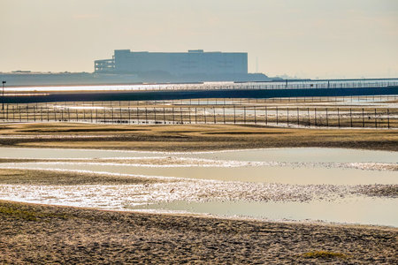 Autumn morning: The tidal flats of Funabashi Sanbanze Seaside Park (Funabashi City, Chiba Prefecture)の写真素材