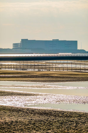 Autumn morning: The tidal flats of Funabashi Sanbanze Seaside Park (Funabashi City, Chiba Prefecture)の写真素材