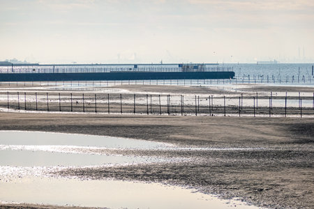 Autumn morning: The tidal flats of Funabashi Sanbanze Seaside Park (Funabashi City, Chiba Prefecture)の写真素材