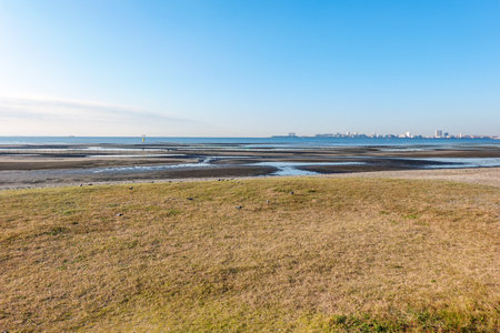 Autumn morning: The tidal flats of Funabashi Sanbanze Seaside Park (Funabashi City, Chiba Prefecture)の写真素材