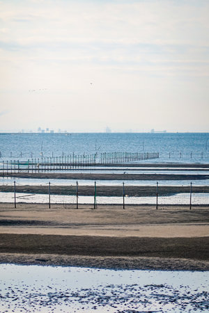 Autumn morning: The tidal flats of Funabashi Sanbanze Seaside Park (Funabashi City, Chiba Prefecture)の写真素材