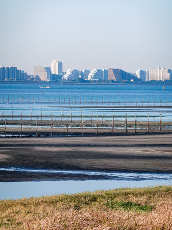 Autumn morning: The tidal flats of Funabashi Sanbanze Seaside Park (Funabashi City, Chiba Prefecture)の写真素材