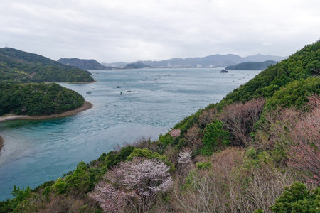 Raft fishing in Naruto (Naruto City, Tokushima Prefecture)の写真素材