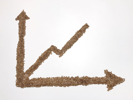The axis of the coordinates and the graph depicted with the help of flax seeds.の素材