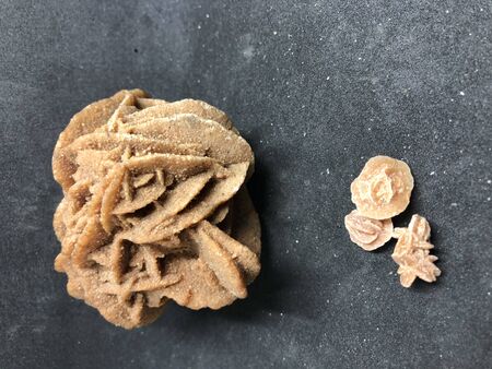 desert roseの写真素材