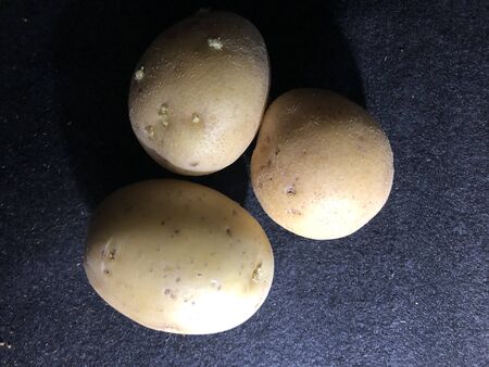 potato still lifeの写真素材