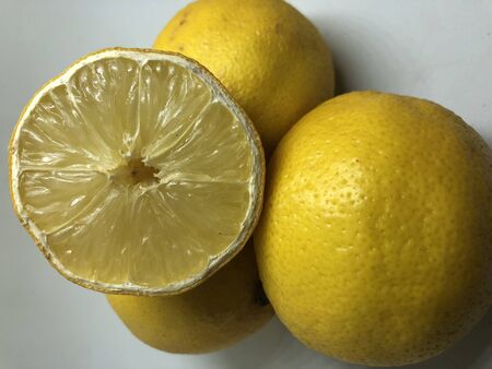 lemons still life with white backgroundの写真素材