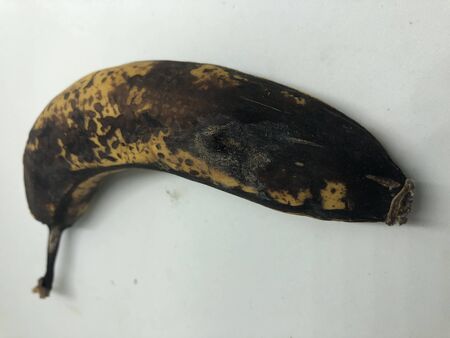 last banana with white backgroundの写真素材