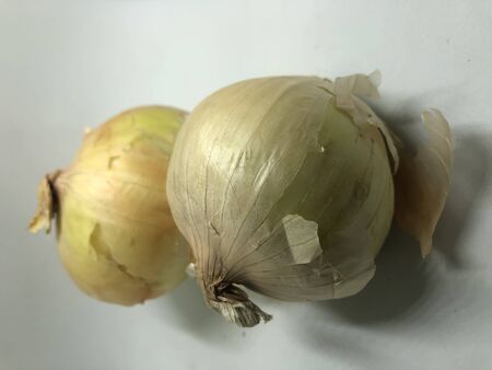 still life with two onions on white backgroundの写真素材