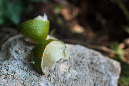 Two slices of squeezed limeの写真素材
