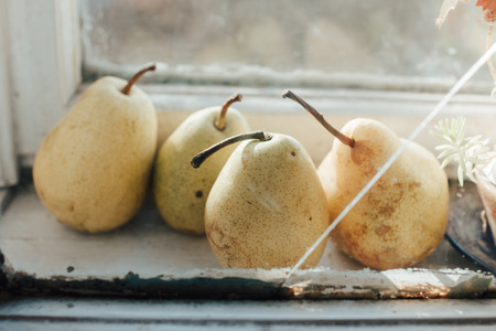 Four rie pears in the kitchen windowの写真素材