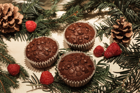 Three chocolate chip cupcakes in paper, some red perfect raspberries, two pine cones and some green pine branchesの写真素材