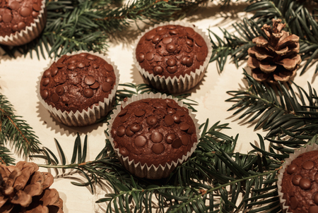 Five chocolate chip cupcakes in paper, two pine cones and some green pine branchesの写真素材