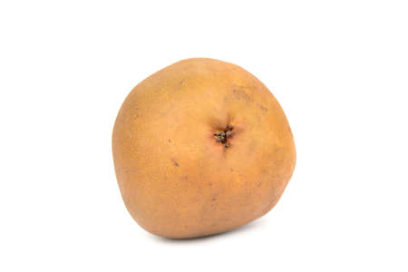 Brown pear Uta - delicious fruitの写真素材